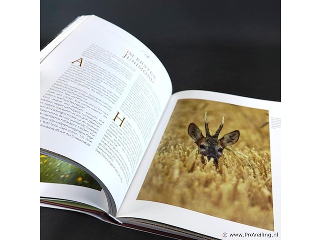 Zauber der wildbahn - afbeelding 5 van  5