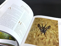 Zauber der wildbahn - afbeelding 5 van  5