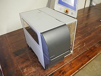 Zebra - afbeelding 4 van  8