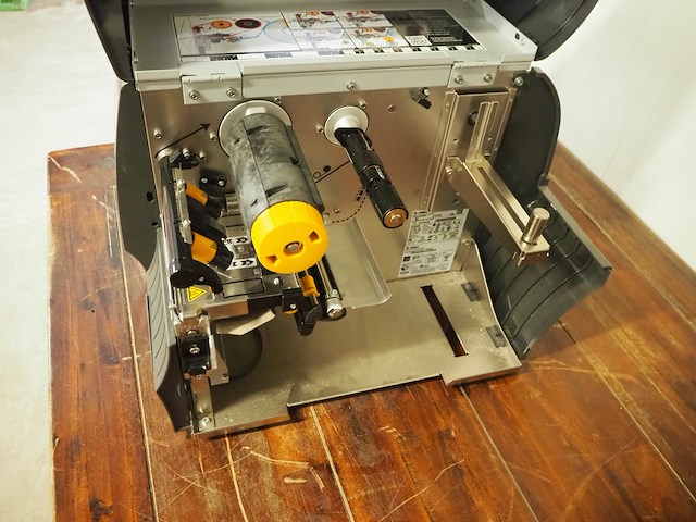 Zebra - afbeelding 5 van  8