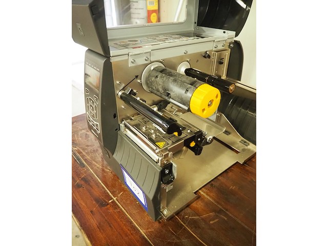 Zebra - afbeelding 6 van  8