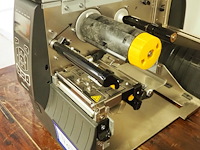 Zebra - afbeelding 6 van  8