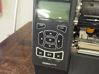 Zebra - afbeelding 7 van  8