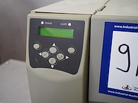 Zebra - afbeelding 6 van  7