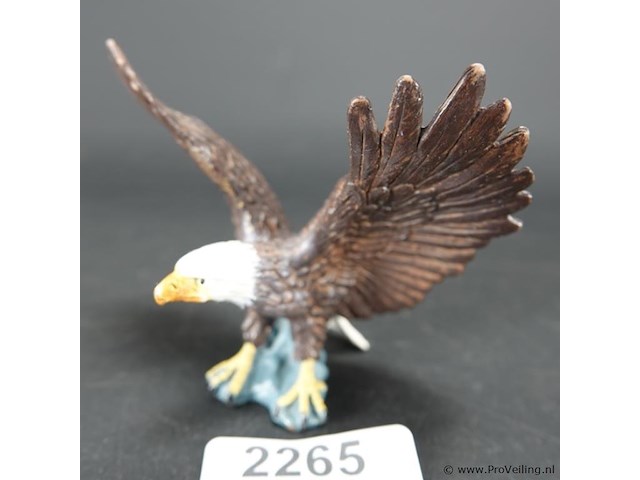 Zeearend - afbeelding 1 van  5