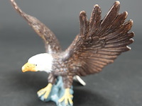 Zeearend - afbeelding 1 van  5