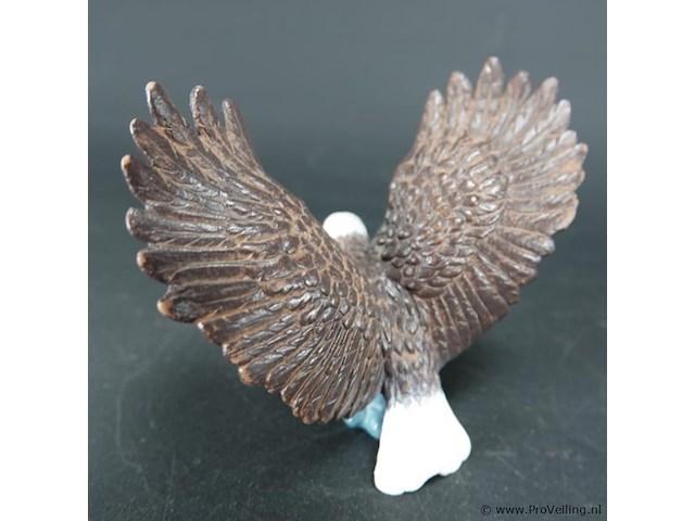 Zeearend - afbeelding 2 van  5