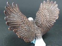 Zeearend - afbeelding 2 van  5