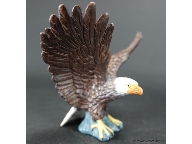 Zeearend - afbeelding 3 van  5