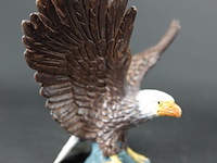 Zeearend - afbeelding 3 van  5