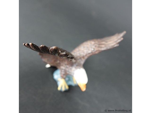 Zeearend - afbeelding 4 van  5