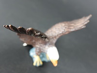 Zeearend - afbeelding 4 van  5