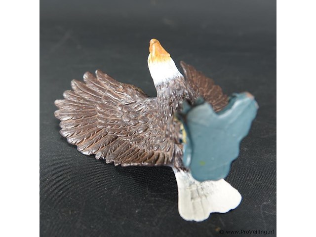 Zeearend - afbeelding 5 van  5