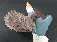 Zeearend - afbeelding 5 van  5