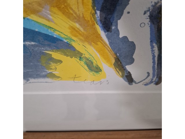 Zeefdruk, anton vrede, tears in the morning 61/90, 1996 - afbeelding 4 van  9