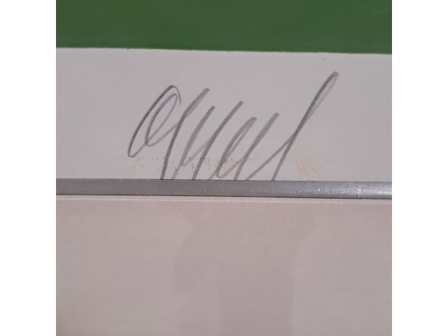 Zeefdruk, carel appel - afbeelding 4 van  8