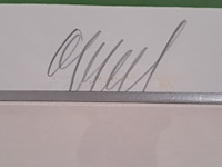 Zeefdruk, carel appel - afbeelding 4 van  8