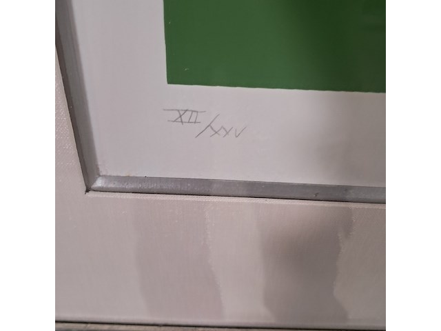 Zeefdruk, carel appel - afbeelding 5 van  8