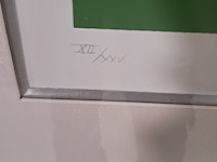 Zeefdruk, carel appel - afbeelding 5 van  8