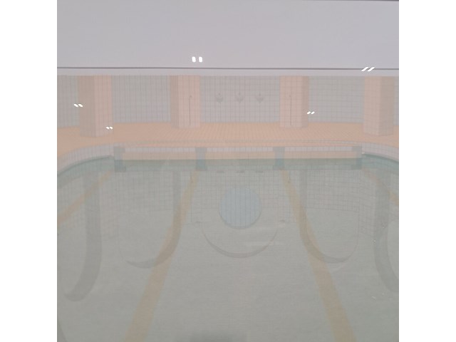 Zeefdruk, e. sont, zwembad 1 - afbeelding 4 van  8