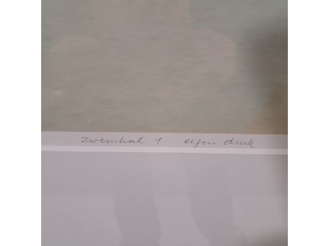 Zeefdruk, e. sont, zwembad 1 - afbeelding 6 van  8