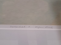 Zeefdruk, e. sont, zwembad 1 - afbeelding 6 van  8