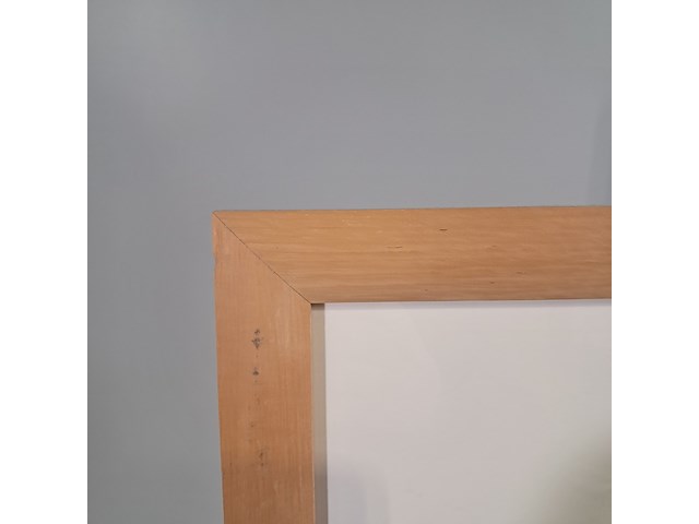 Zeefdruk, e. sont, zwembad 1 - afbeelding 7 van  8