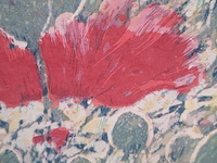 Zeefdruk, hans dolieslager, papaverknoppen 8/50, 1999 - afbeelding 4 van  8