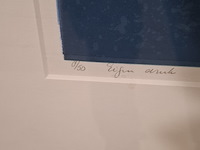 Zeefdruk, hans dolieslager, papaverknoppen 8/50, 1999 - afbeelding 6 van  8