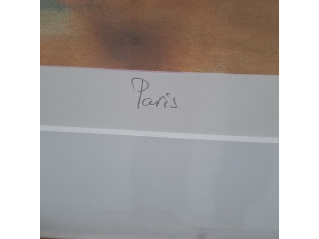 Zeefdruk, hans van den berg, paris 121/175 - afbeelding 7 van  10