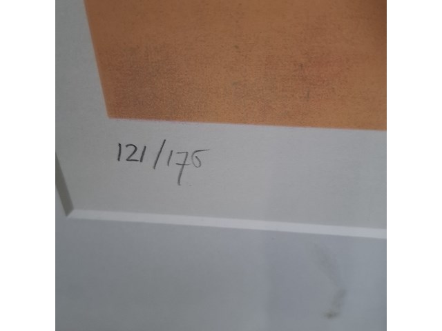 Zeefdruk, hans van den berg, paris 121/175 - afbeelding 8 van  10