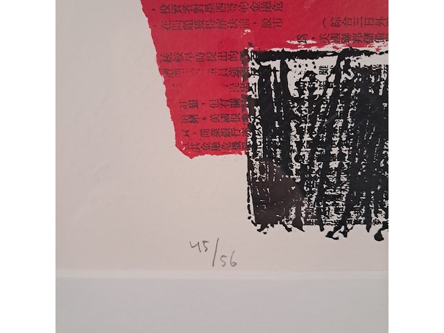 Zeefdruk, ilja walraven, 45/56, 1995 - afbeelding 5 van  8