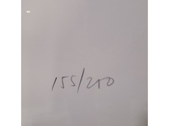 Zeefdruk in lijst - afbeelding 2 van  7