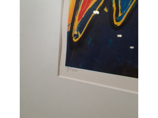 Zeefdruk, maya wildevuur, 171/200, 1994 - afbeelding 9 van  10