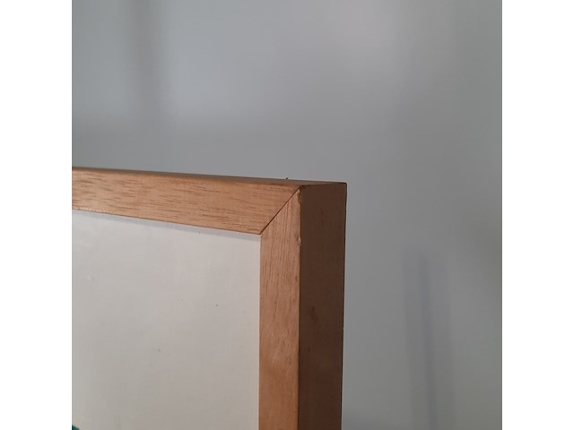 Zeefdruk, maya wildevuur, 171/200, 1994 - afbeelding 10 van  10