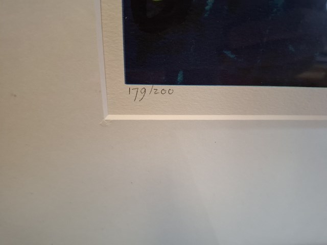 Zeefdruk, maya wildevuur (1944-2023), vogel en vis, 1994 - afbeelding 6 van  9