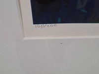 Zeefdruk, maya wildevuur, vogel / vis, 1993 - afbeelding 3 van  9