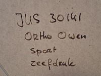 Zeefdruk, ortho owen, smash, 1989 - afbeelding 9 van  9