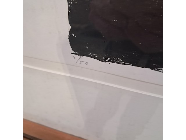 Zeefdruk, piet warffemius, portret iv 2/50, 1995 - afbeelding 8 van  11