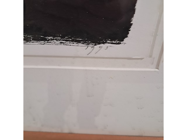 Zeefdruk, piet warffemius, portret iv 2/50, 1995 - afbeelding 9 van  11