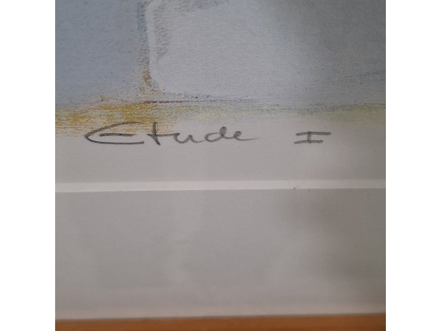 Zeefdruk, ron van de werf, etude i 8/50, 2001 - afbeelding 7 van  10