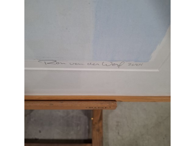 Zeefdruk, ron van de werf, etude ii 7/50, 2001 - afbeelding 6 van  10