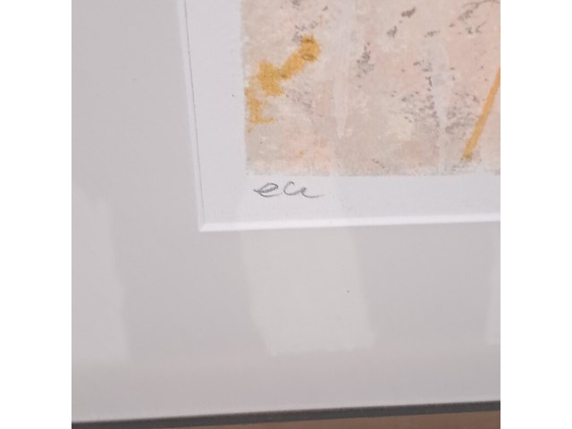 Zeefdruk - afbeelding 5 van  9