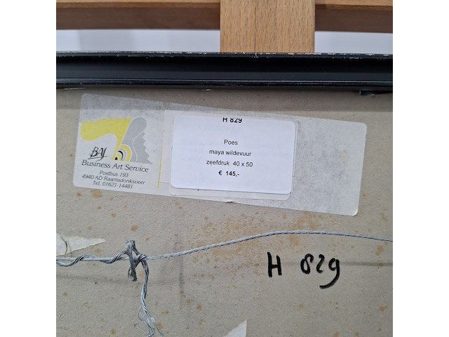 Zeefdruk - afbeelding 9 van  9