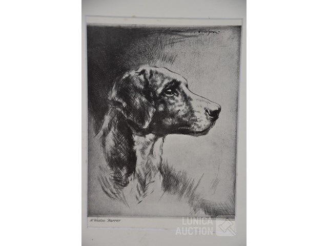 Zeefdruk - afbeelding 2 van  4