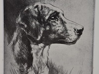 Zeefdruk - afbeelding 2 van  4