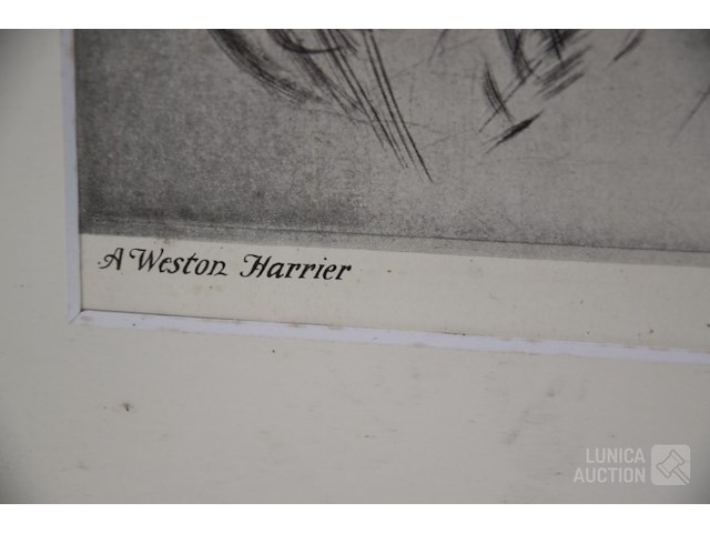 Zeefdruk - afbeelding 3 van  4