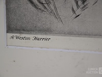 Zeefdruk - afbeelding 3 van  4