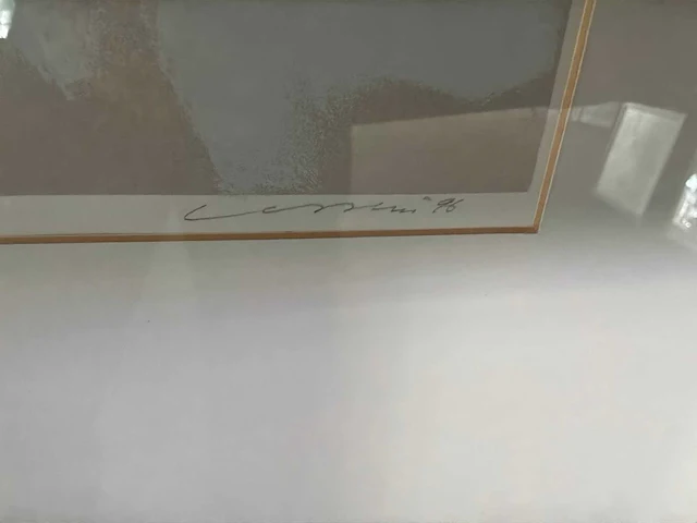 Zeefdruk“henk van vessem” - afbeelding 7 van  8