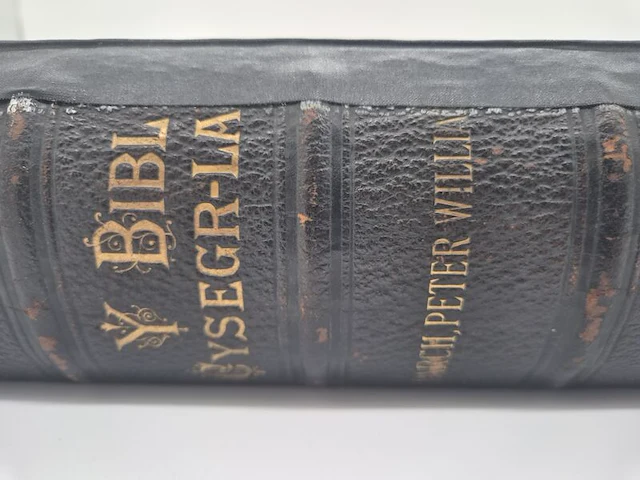 Zeer bijzondere antieke welshe bijbel – efengyl gogoniant bendigedig dduw – peter williams – 19e eeuw - afbeelding 13 van  24